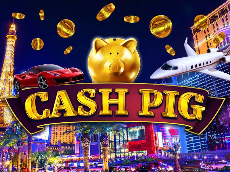 Mega Wins on Cash Pig!